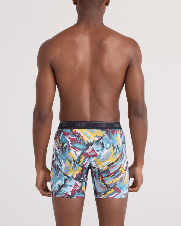 Back - Model wearing Quest Quick-Dry Mesh Boxer Brief Fly in Prism Peaks-Multi