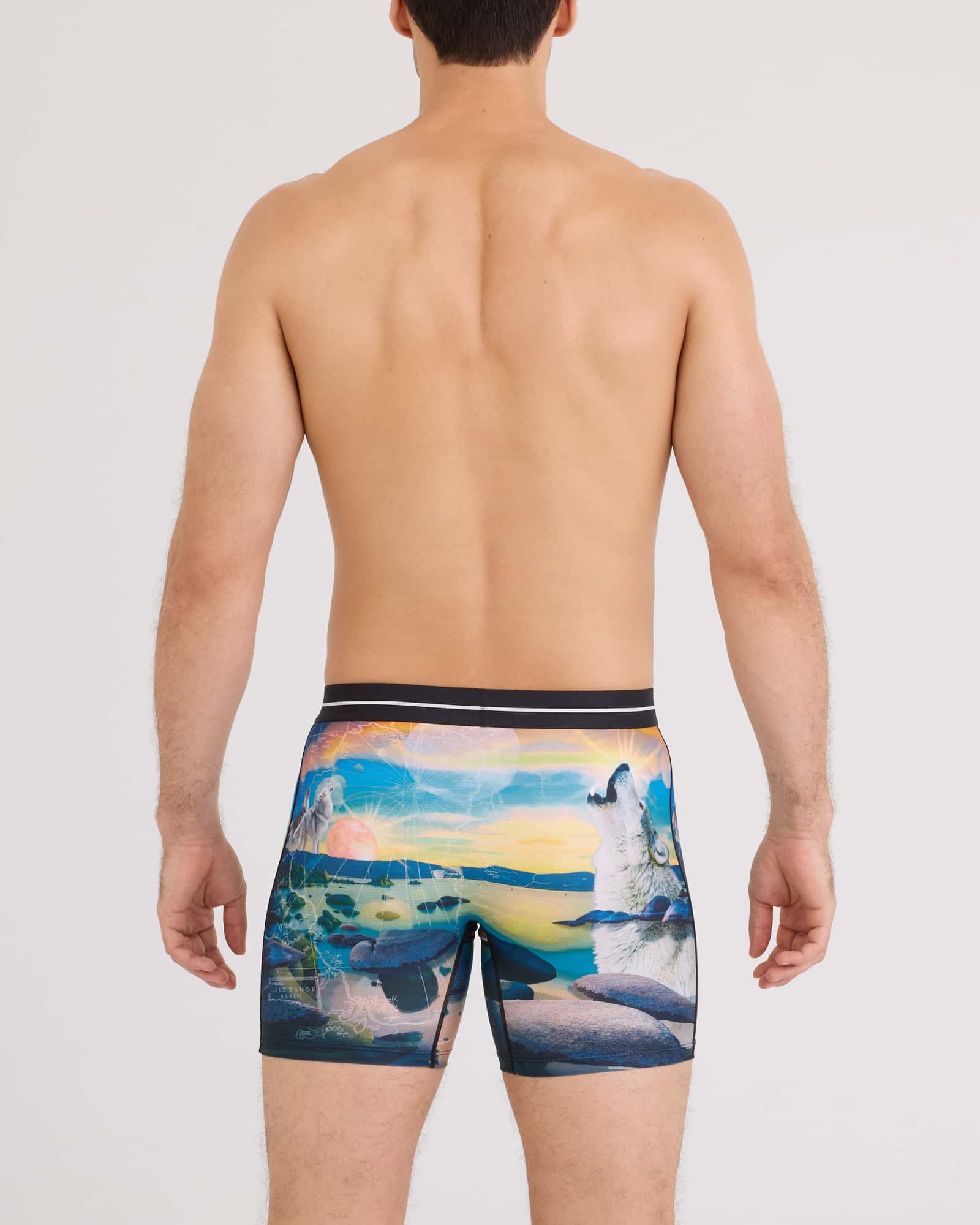 Back - Model wearing Volt Breathable Mesh Boxer Brief in I Dream Of Tahoe-Multi