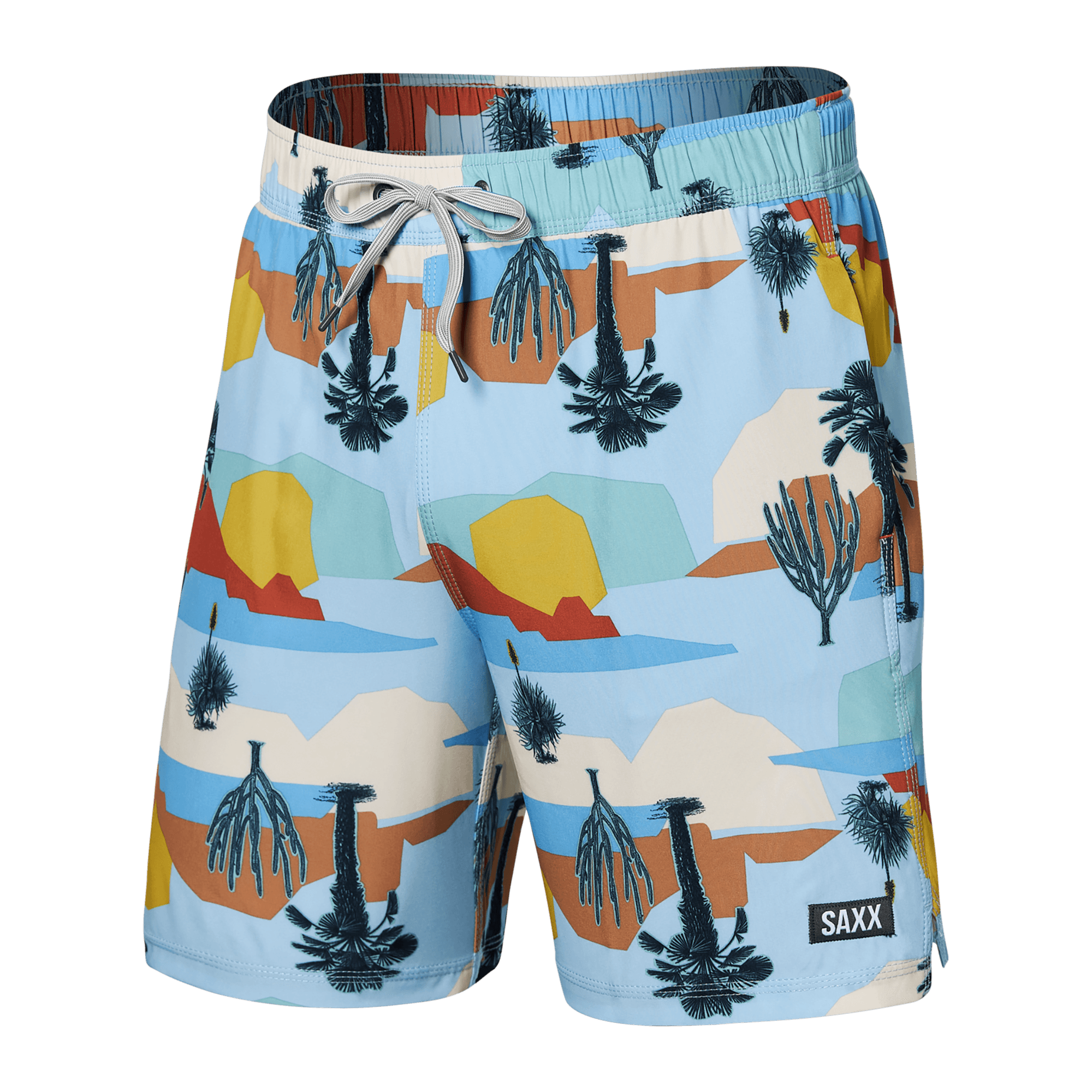 Saxx swim trunks on sale