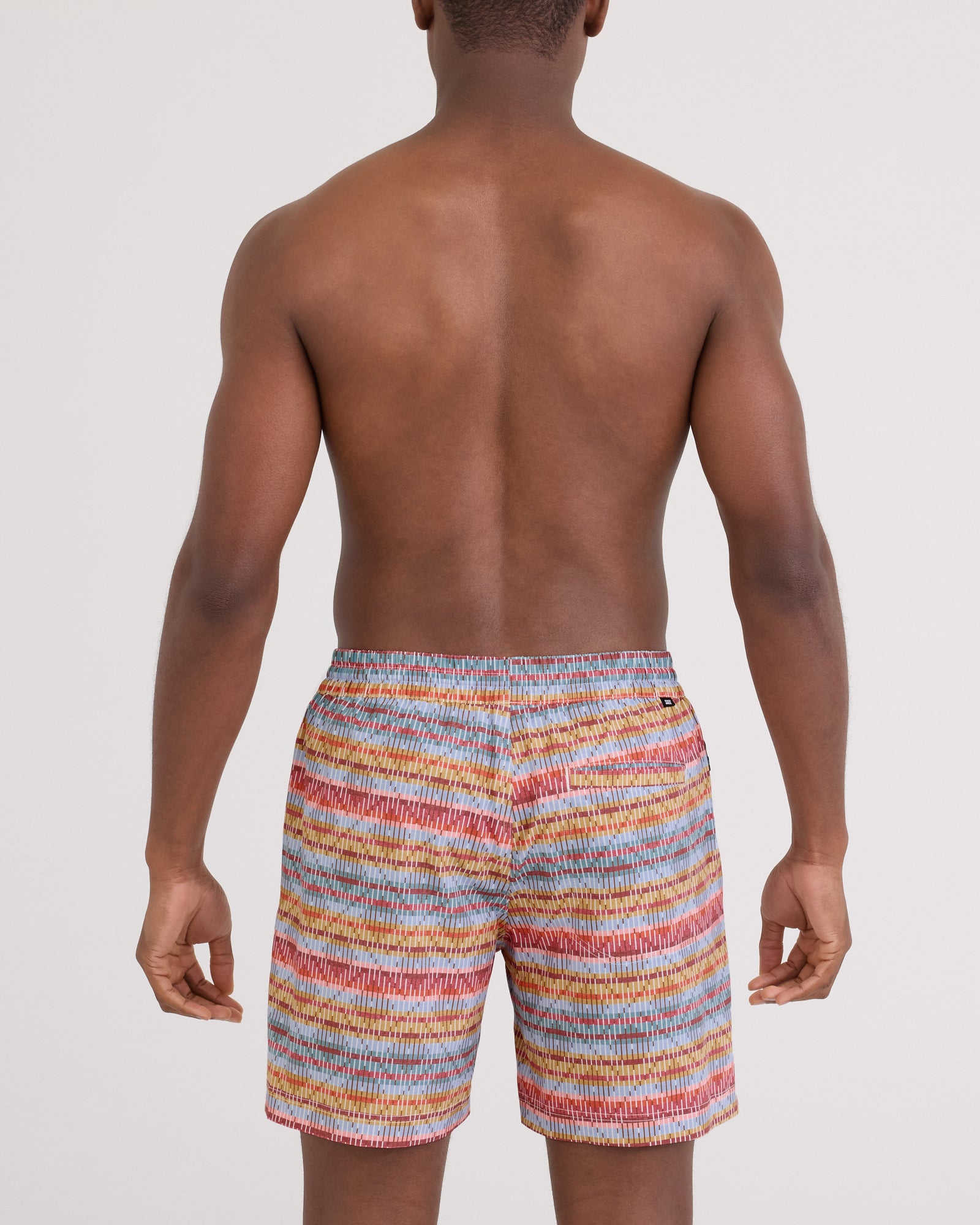 Back - Model wearing Sea To Shore 2N1 Volley Short 6" in Asher Weave-Multi