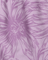 Close-up of a purple floral pattern on a light purple background