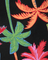 Close-up of colorful tropical leaf pattern on a black background