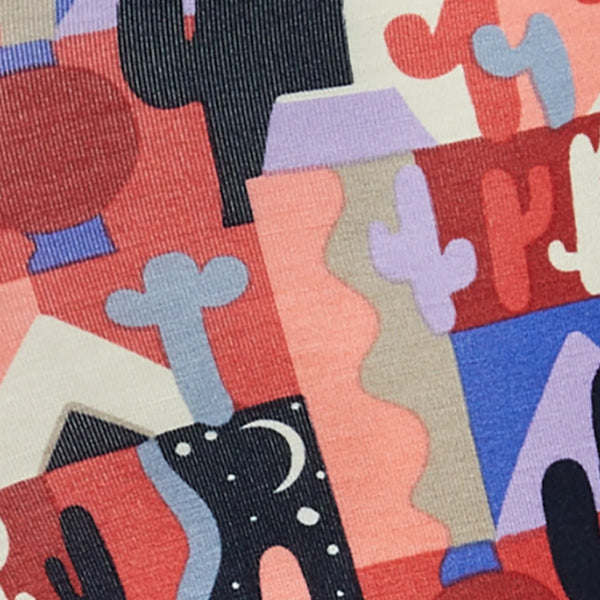 Swatch of Painted Desert- Multi