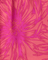 Close-up of pink floral pattern on a pink background