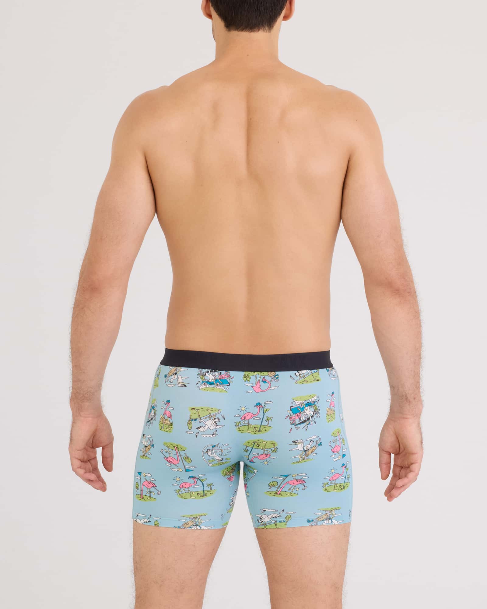 Back - Model wearing Vibe Xtra Soft Comfort Boxer Brief Fly in Birdie
