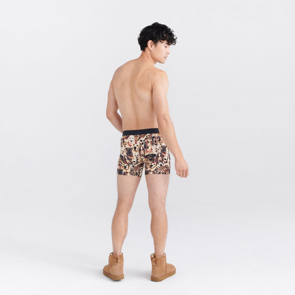 Back - Model wearing Vibe Super Soft Boxer Brief in Dogs Of Saxx- Multi