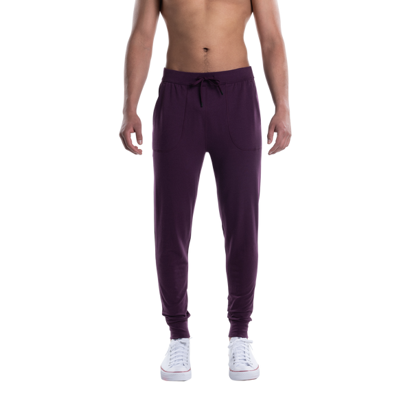 Front - Model wearing 3Six Five Lounge Pant in Plum